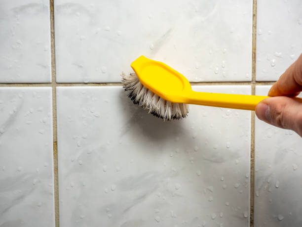 Best Best Mold Removal Companies  in Brittany Farms The Highlands, PA