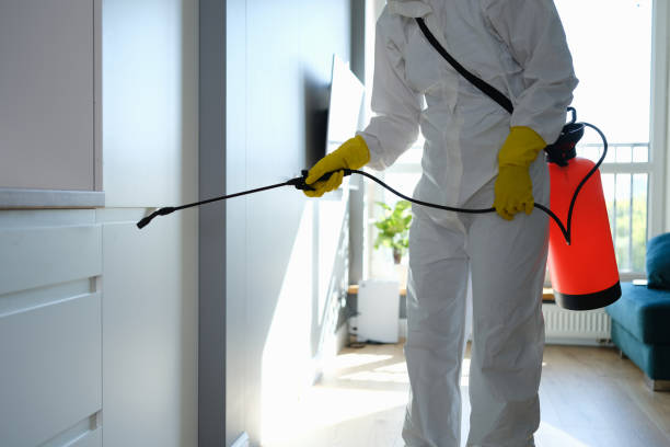 Best Commercial Mold Removal  in Brittany Farms The Highlands, PA