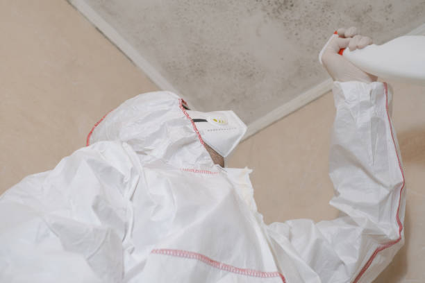 Best Toxic Mold Removal  in Brittany Farms The Highlands, PA