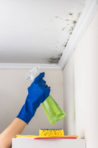 Water Damage Restoration in Brittany Farms The Highlands, PA